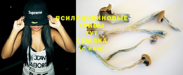 прущая мука Кукмор