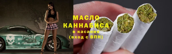 гидра Кулебаки