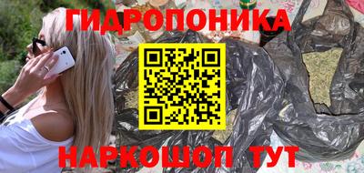 прущие грибы Канаш