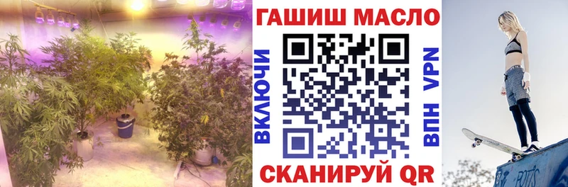 ТГК THC oil  Ставрополь 