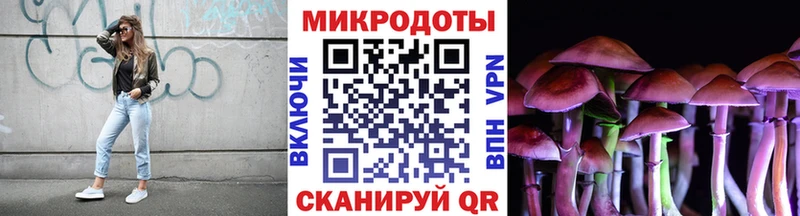 Псилоцибиновые грибы мухоморы Ставрополь