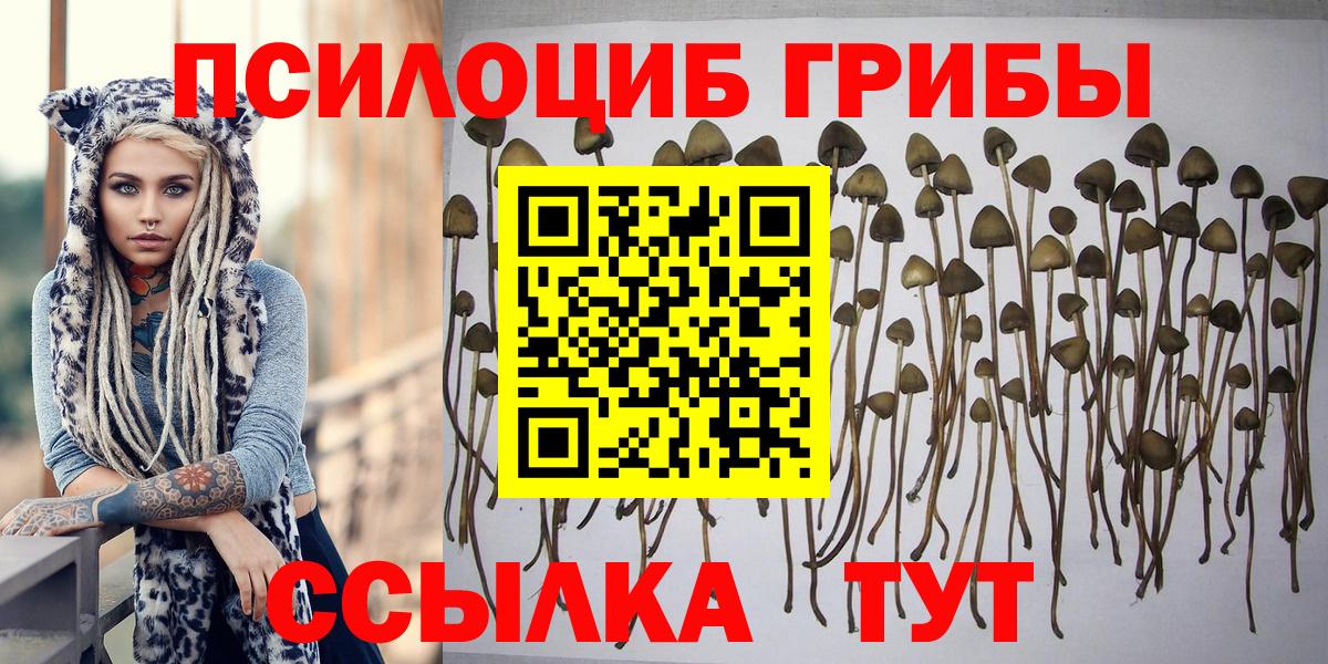 Ставрополь  Псилоцибиновые грибы Magic Shrooms  Вход с VPN 